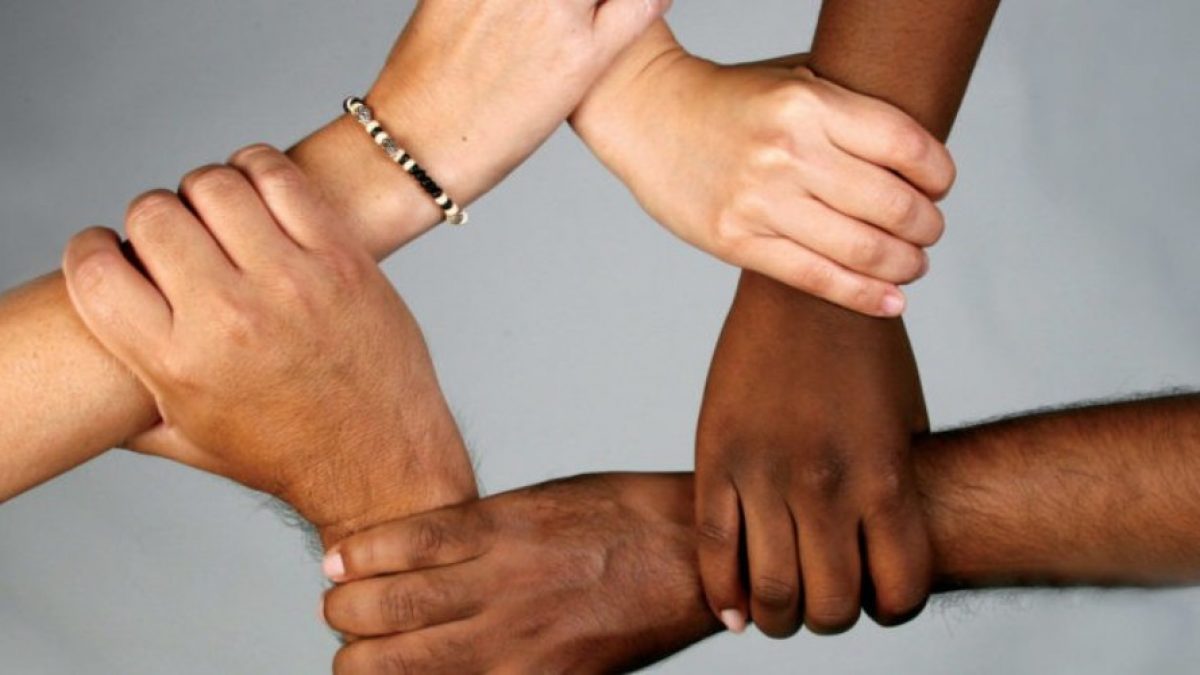 Elaboración de protocolos para la gestión de la interculturalidad, la igualdad de género y la diversidad en instancias públicas y privadas