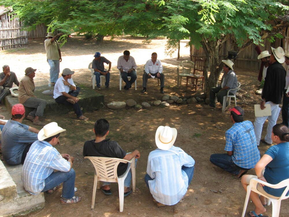 Investigación social para proyectos, políticas públicas u otras intervenciones