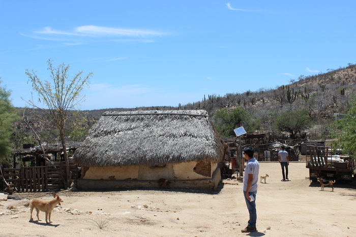 CFE Los Cabos