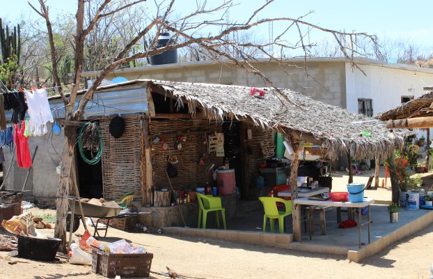 El Guamúchil (1)