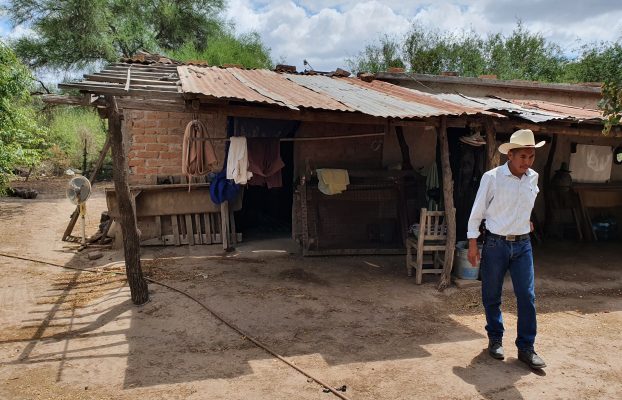 El Parnaso (12)
