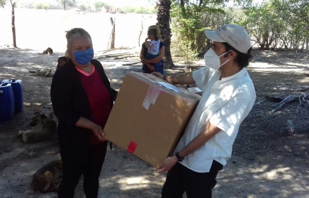 El Parnaso (4)