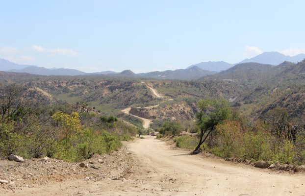 El Sauzal (2)