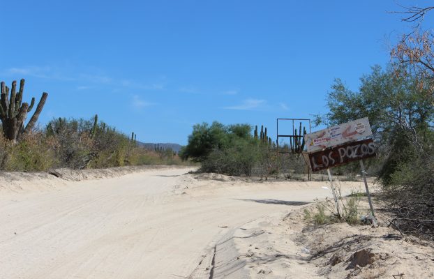 El Sauzal (4)