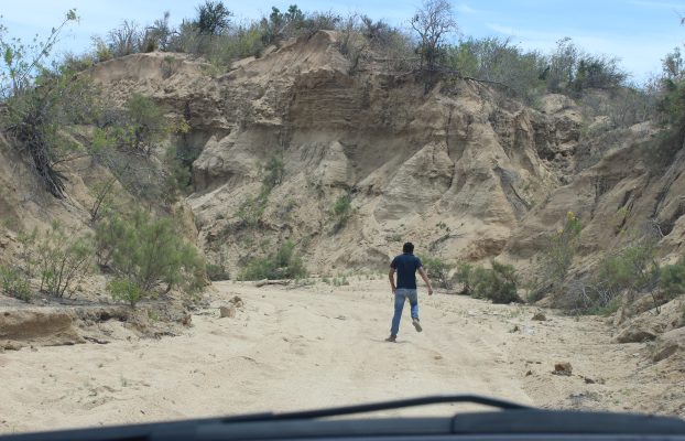 El Sauzal