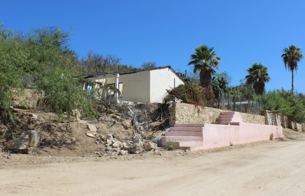 El Sauzal. 17 Mayo, 2015 (17)
