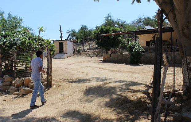 El Sauzal. 17 Mayo, 2015 (2)