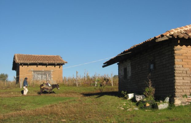 Juanacatlán (4)
