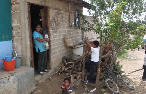 Juanacatlán (8)