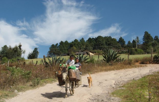 La Cañada (2)
