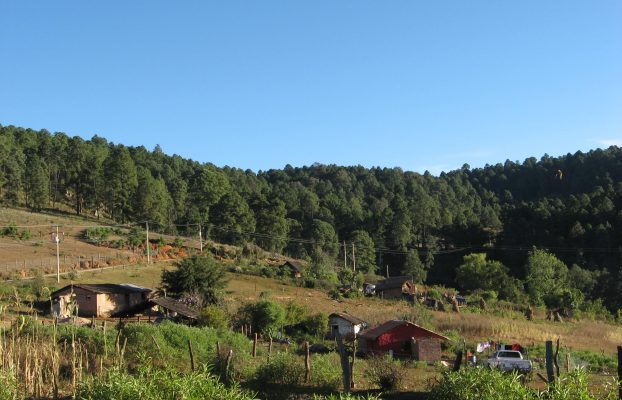 La Cañada (4)
