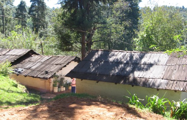 La Varillita (1)