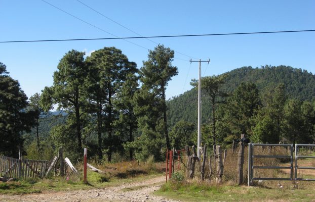 La Varillita (3)