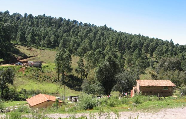 La Varillita (4)
