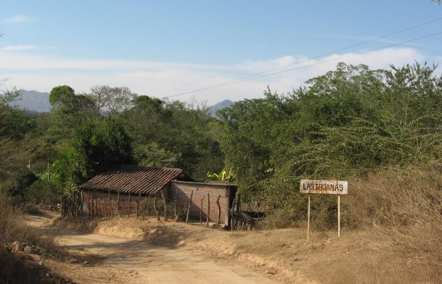 Las Iguanas (3)