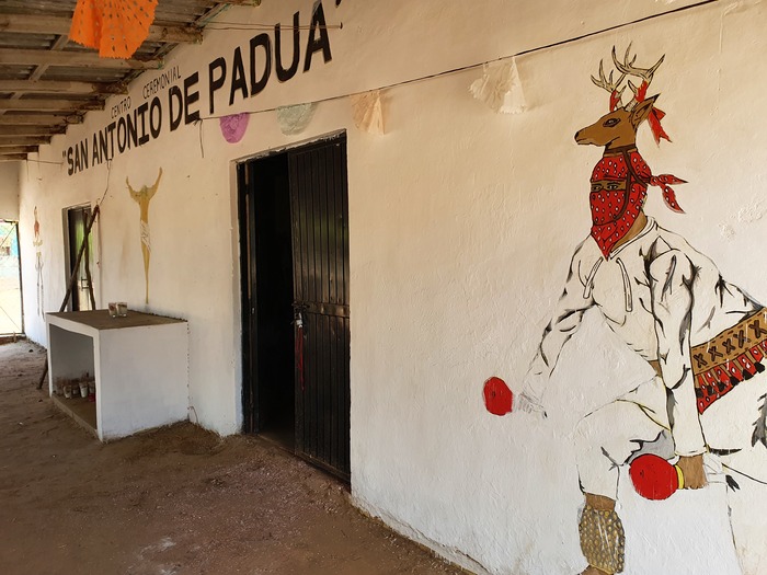 Patrimonio Mayo-Yoreme