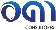 OMG Consultores